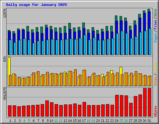 Daily usage for January 2025