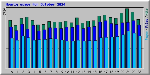 Hourly usage for October 2024