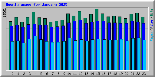 Hourly usage for January 2025