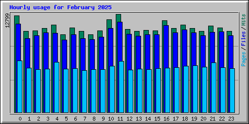 Hourly usage for February 2025