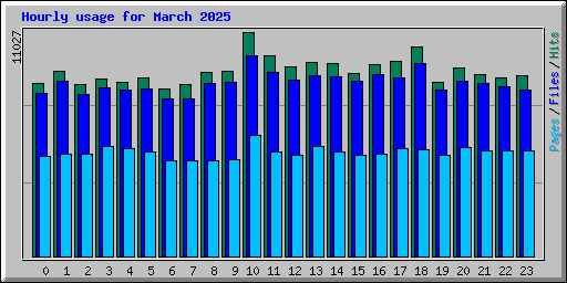 Hourly usage for March 2025